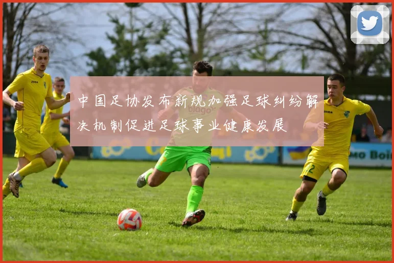 中国足协发布新规加强足球纠纷解决机制促进足球事业健康发展
