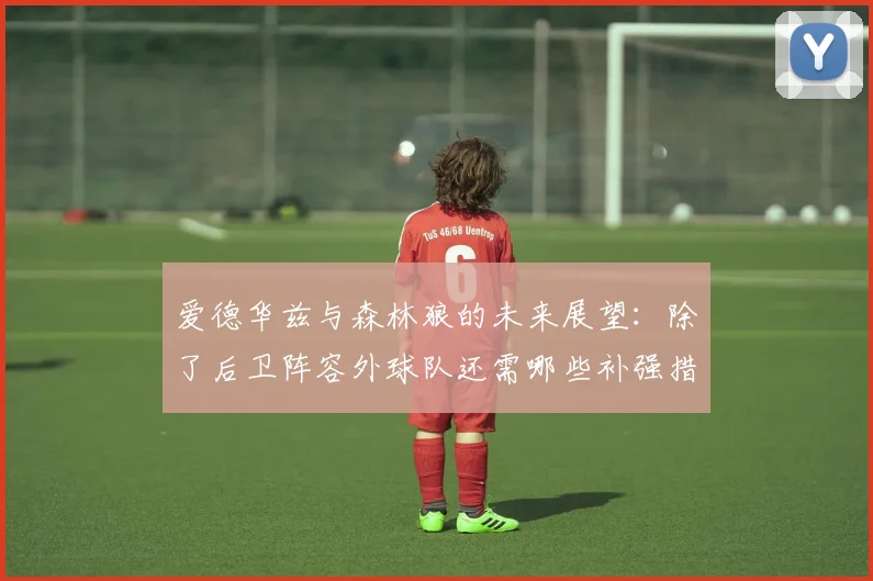 爱德华兹与森林狼的未来展望：除了后卫阵容外球队还需哪些补强措施