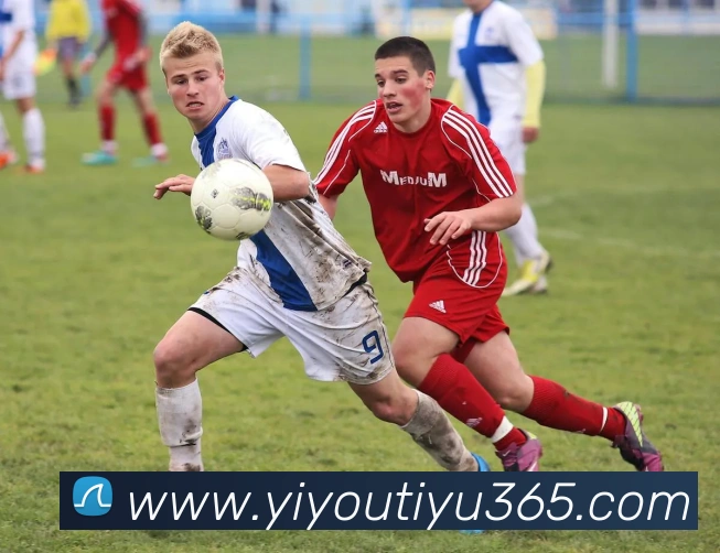 多媒体互动体验